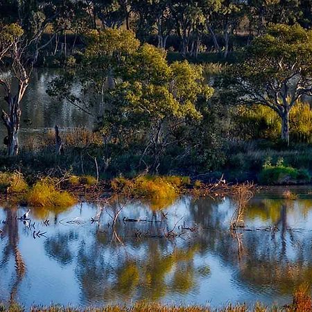 Riverview Rise Retreats Mannum Ngoại thất bức ảnh