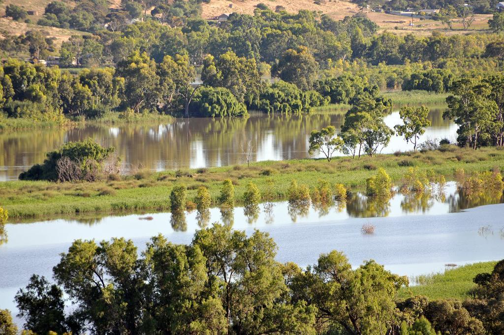 Riverview Rise Retreats Mannum Ngoại thất bức ảnh