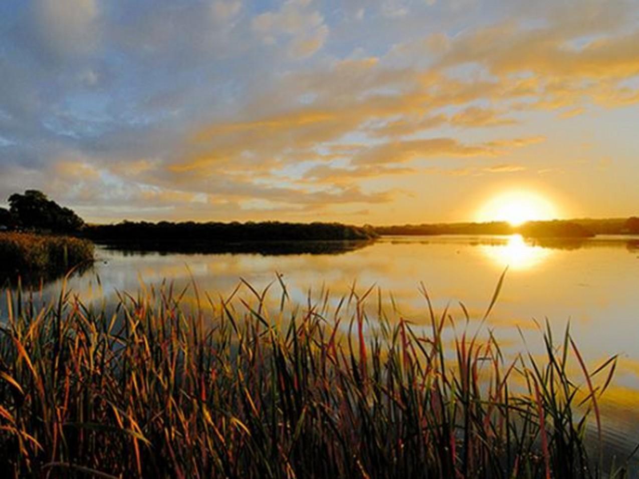 Riverview Rise Retreats Mannum Ngoại thất bức ảnh