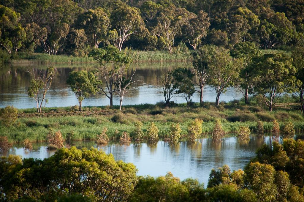 Riverview Rise Retreats Mannum Ngoại thất bức ảnh