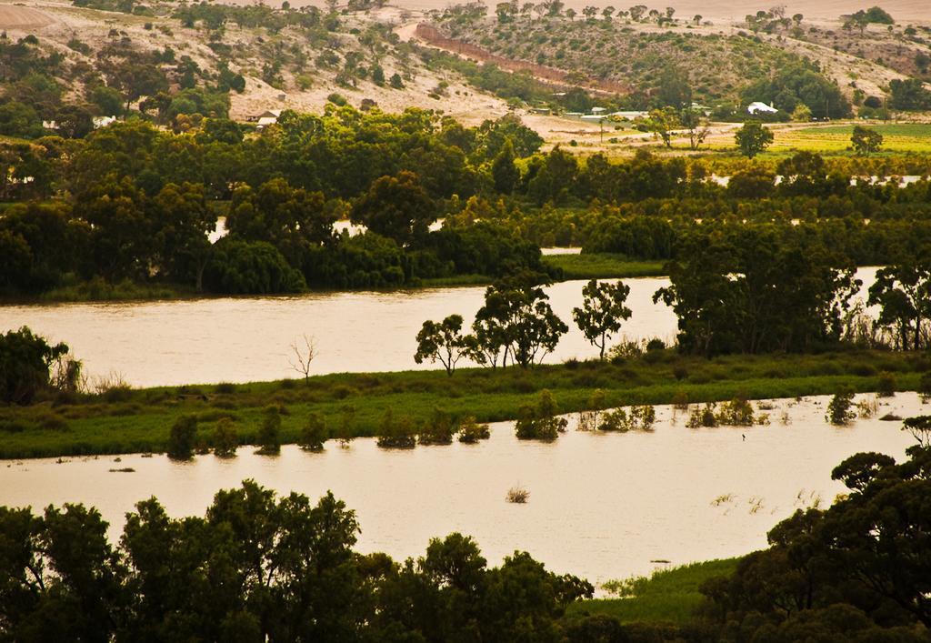 Riverview Rise Retreats Mannum Ngoại thất bức ảnh