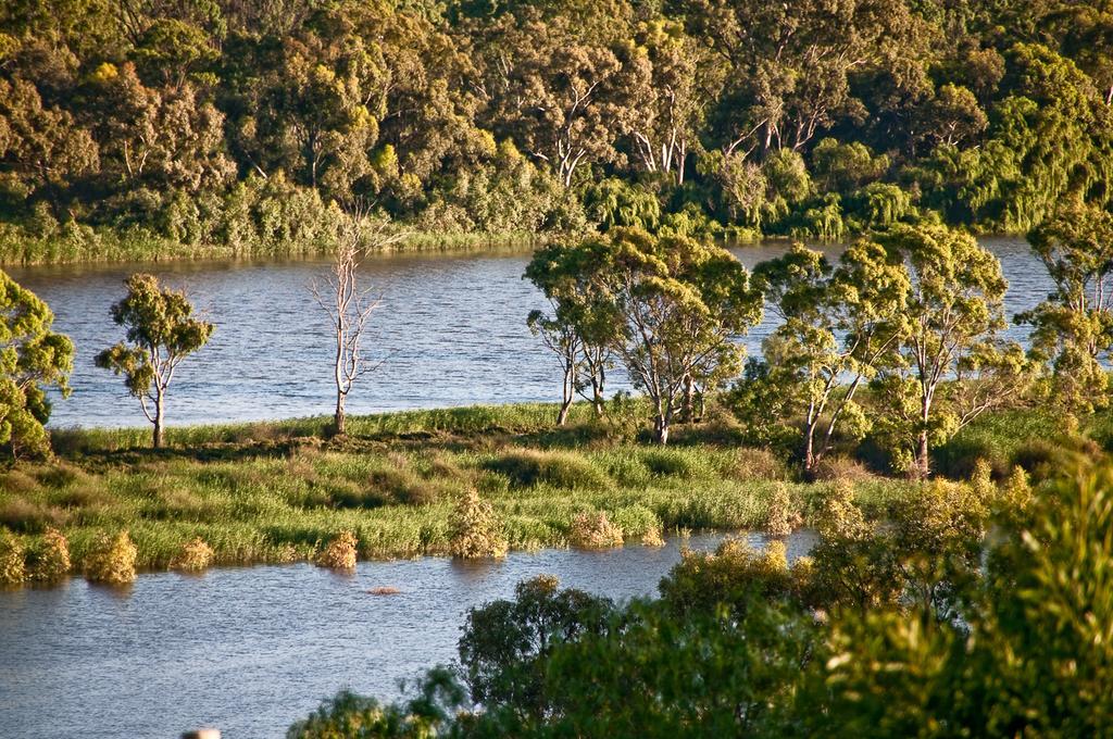 Riverview Rise Retreats Mannum Ngoại thất bức ảnh