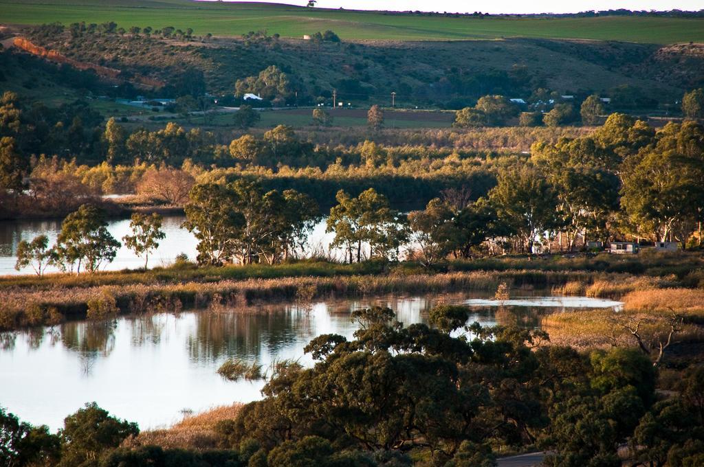 Riverview Rise Retreats Mannum Ngoại thất bức ảnh