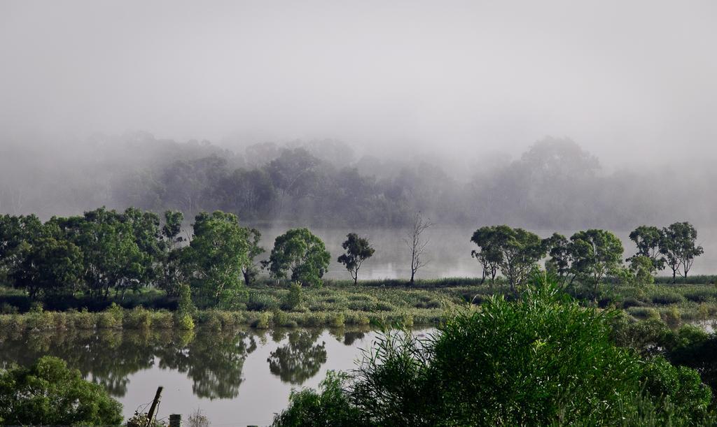 Riverview Rise Retreats Mannum Ngoại thất bức ảnh
