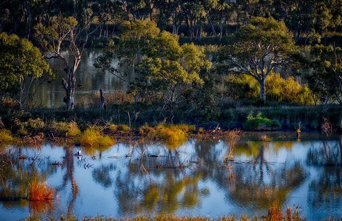 Riverview Rise Retreats Mannum Ngoại thất bức ảnh