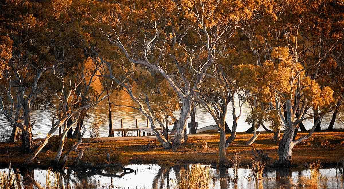 Riverview Rise Retreats Mannum Ngoại thất bức ảnh