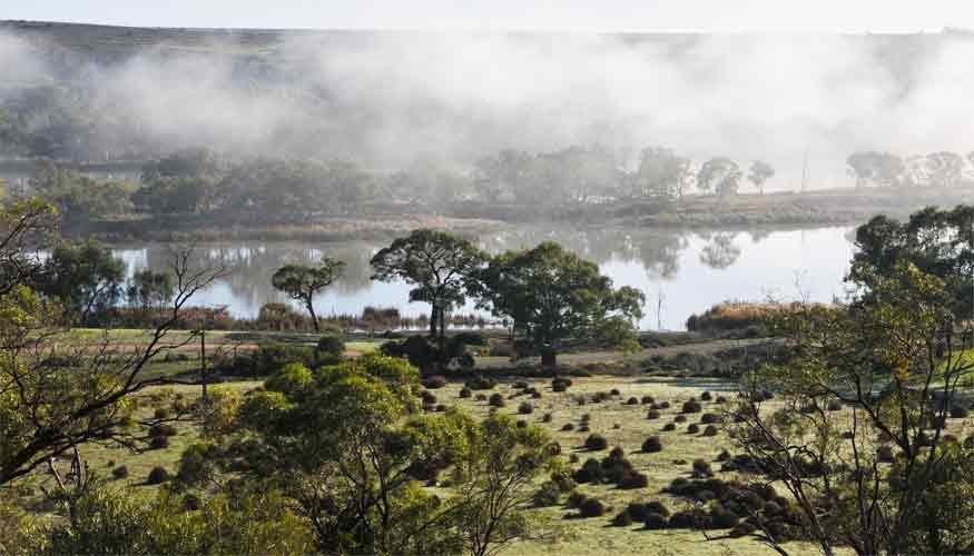Riverview Rise Retreats Mannum Ngoại thất bức ảnh