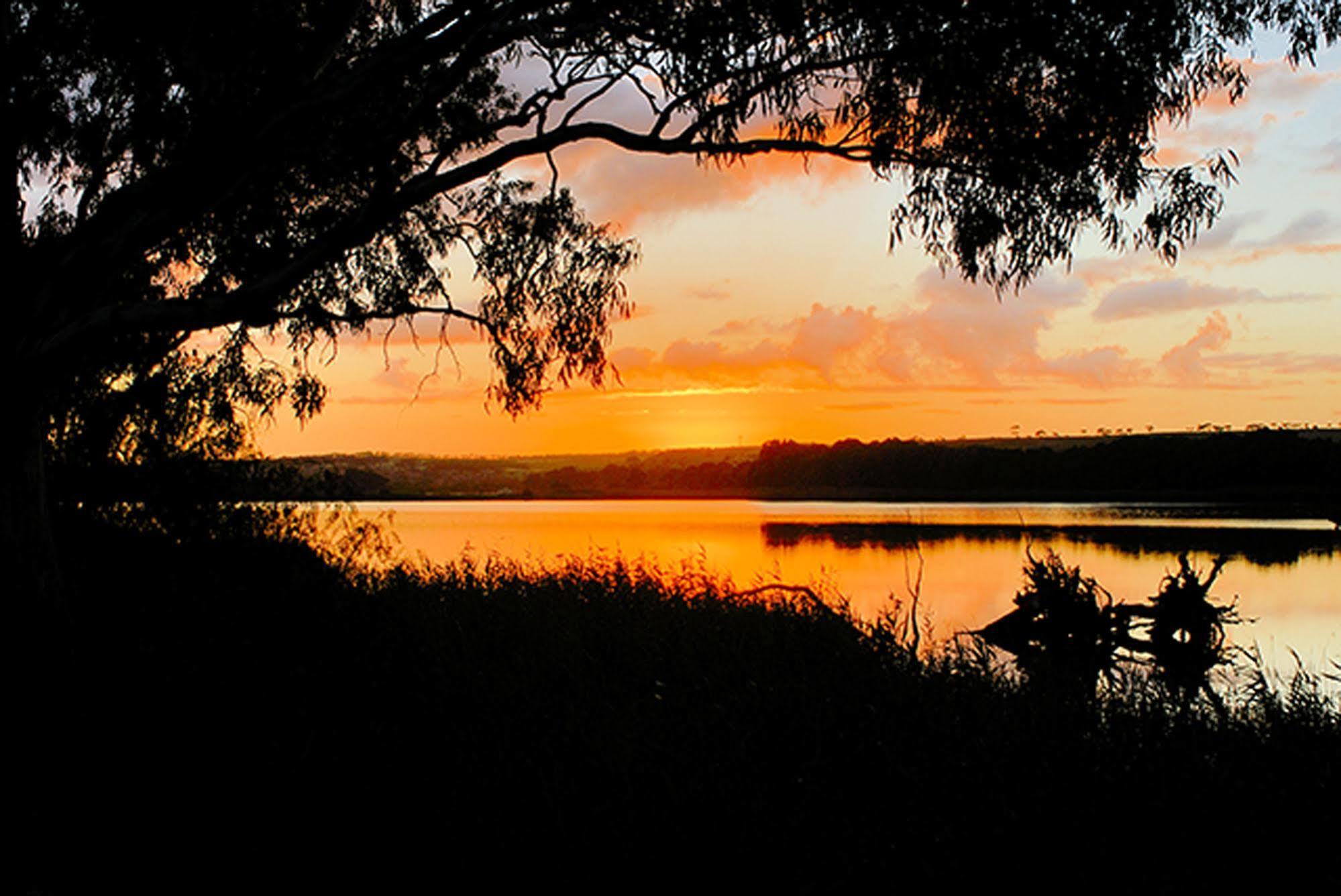 Riverview Rise Retreats Mannum Ngoại thất bức ảnh